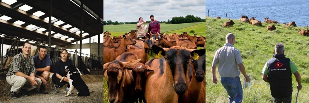 3_filieres_bandeauTwitter