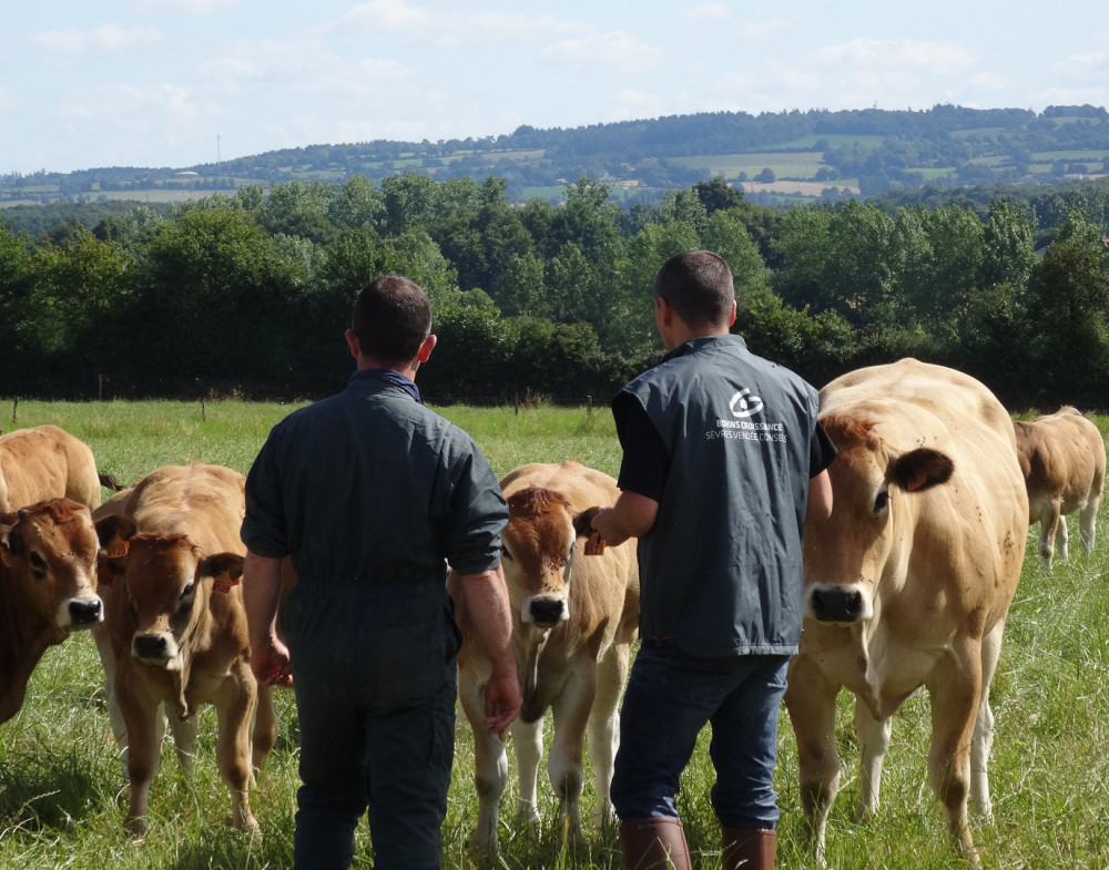 Ingenieur_Conseil_Responsable_dencadrement_1_DSC003581