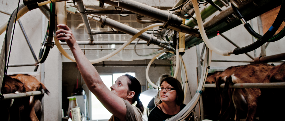 agent_de_pesee_DSC_0191