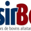 Logo - Réussir Bovins viande