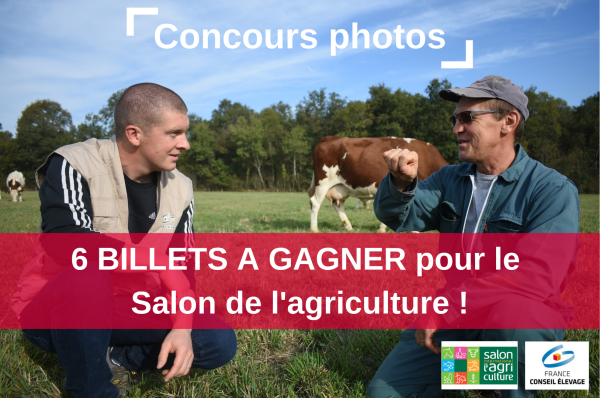 concours_photos_Espace_reserve_au_texte1