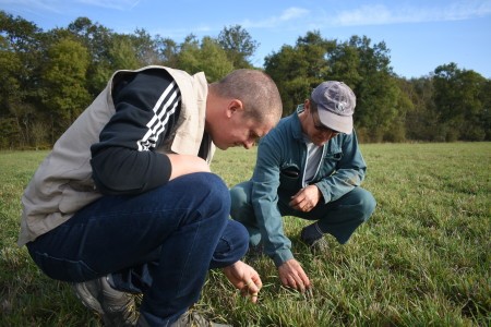 conseil_en_elevage_DSC_0144