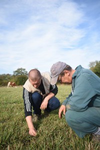 conseil_en_elevage_DSC_0146