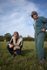 conseil_en_elevage_DSC_0149