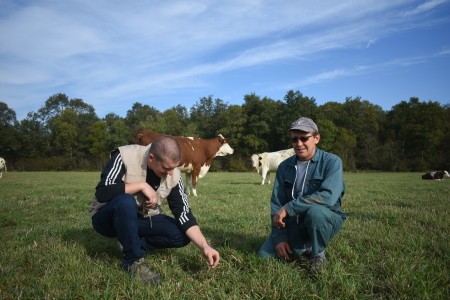 conseil_en_elevage_DSC_0164