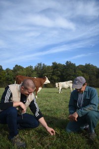 conseil_en_elevage_DSC_0165