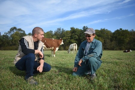 conseil_en_elevage_DSC_0170