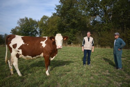 conseil_en_elevage_DSC_0205