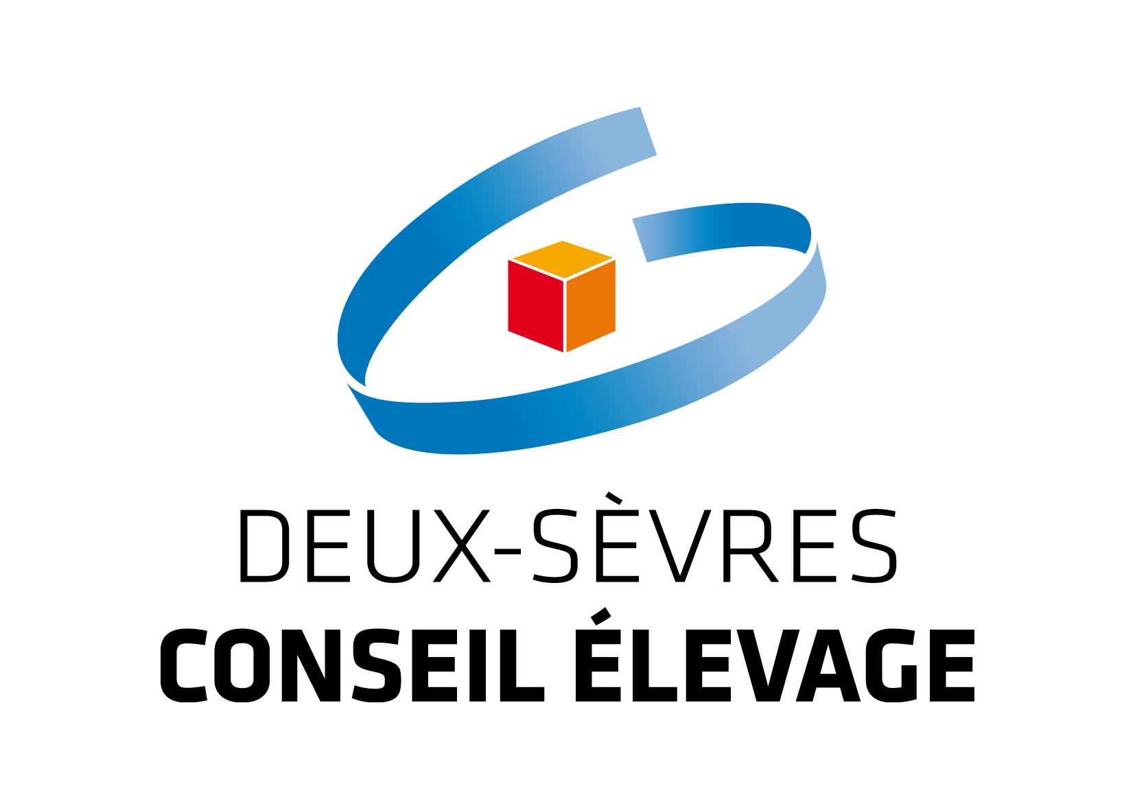 Eilyps Group Saperfel